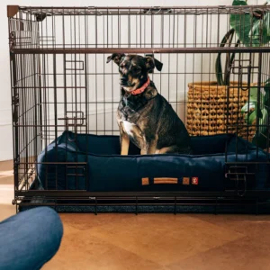 CRATE LUCKY DOG Μαύρο 122x76x84cm
