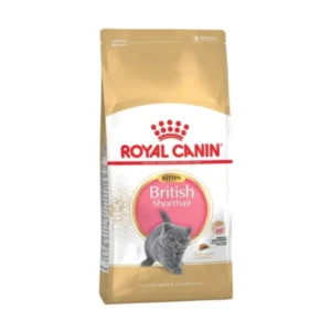 Royal Canin Fbn kitten brit shorthair 2kg